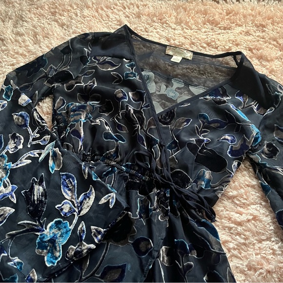 Blue Burnout Velvet Dress - Picture 5 of 5